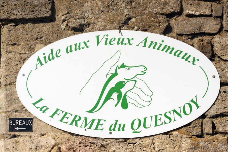ava refuge - aide aux vieux animaux