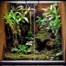 Terrarium