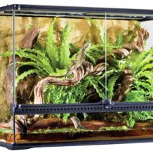 Plantes et décoration