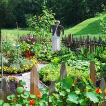 Le potager
