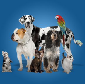 Animalerie