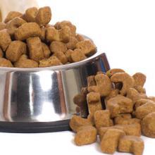 Croquettes