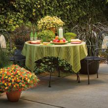 Bien-être au jardin et mobilier