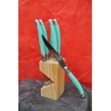 Bloc couteau à steak vert - 19,90 €