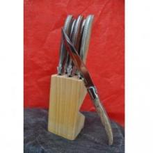 Bloc couteau à steak mixte - 35,90 €
