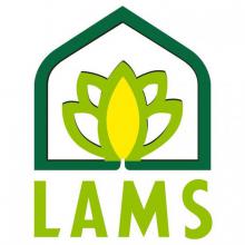 LAMS