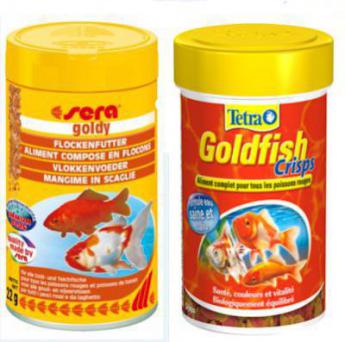 Nourrir son poisson rouge