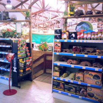 Photos et vidéo du rayon reptiles