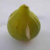 Goutte d'or Goutte d'or