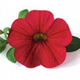 Superbells Red Devil Pw® Superbells Red Devil Pw®