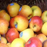 Braeburn