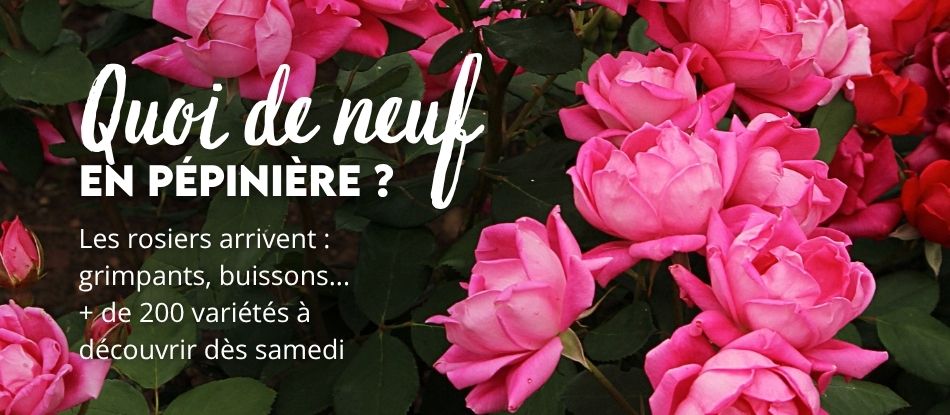 Jardinerie pépinière animalerie en ligne